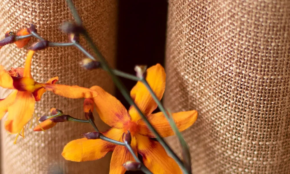 T_17_BLOK4-0 T_17_BLOK4-0