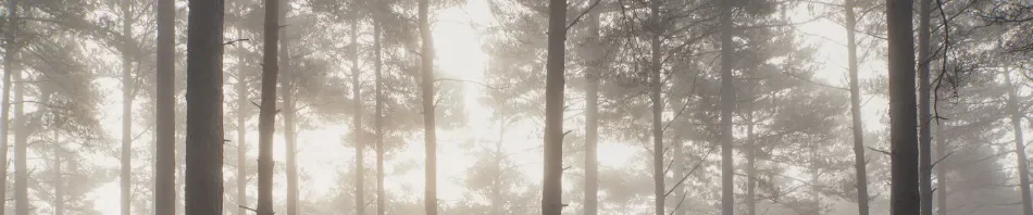 behang_foto_sfeer1920